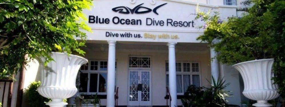 Blue Ocean Dive Resort Umkomaas Extérieur photo